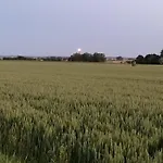 Vakantiehuis Kleiner Leuchtturm - Steuerbord Kopendorf - Mit Garten Und Terrasse Fehmarn