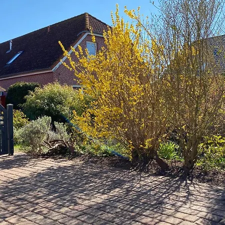 Σπίτι διακοπών Kleiner Leuchtturm - Steuerbord Kopendorf - Mit Garten Und Terrasse Φέμαρν